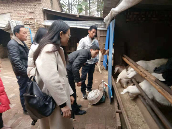 民盟周口市委组织盟内科技专家赴基层开展科技扶贫活动